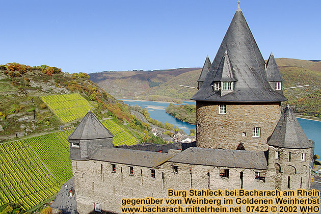 Castle Stahleck, high above Bacharach on the Rhine River, opposite vineyards in the Golden Wine Autumn.